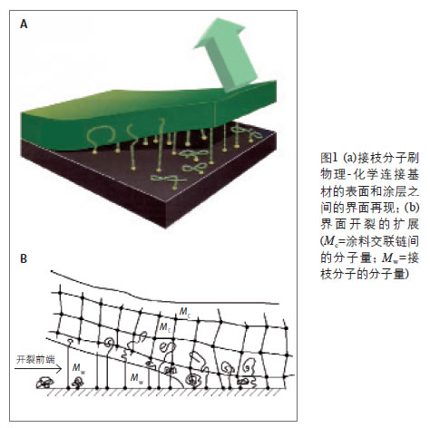 未命å?15.jpg 未命å?15.jpg
